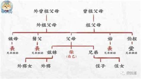 表堂怎麼分|为什么很多人分不清“堂”和“表”？